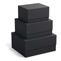 Kartónové úložné boxy s vekom v súprave 3 ks Ilse – Bigso Box of Sweden