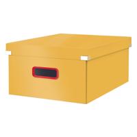Kartónový úložný box s vekom Click&Store – Leitz