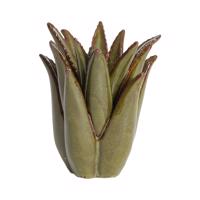 Keramický svietnik Cactus – Light & Living