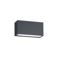 LED nástenné vonkajšie svietidlo (výška 5 cm) Trent - Trio