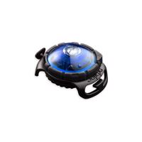 LED svetlo na obojok Blue – Orbiloc