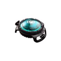 LED svetlo na obojok Turquoise – Orbiloc
