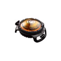 LED svetlo na obojok Yellow – Orbiloc
