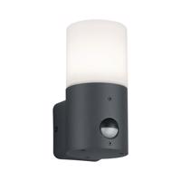 Nástenné vonkajšie svietidlo (výška 17 cm) Hoosic - Trio