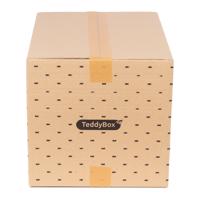 Súprava 2 béžových úložných boxov Compactor Teddy, 42 x 30 cm