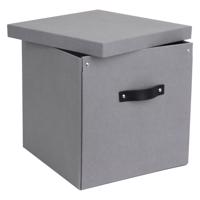 Svetlosivá úložná škatuľa Bigso Box of Sweden Logan