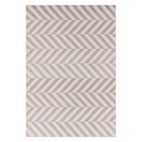 Svetlosivý koberec 120x170 cm Muse – Asiatic Carpets