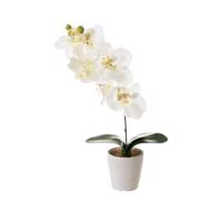 Umelá rastlina (výška  45 cm) Orchid – Casa Selección